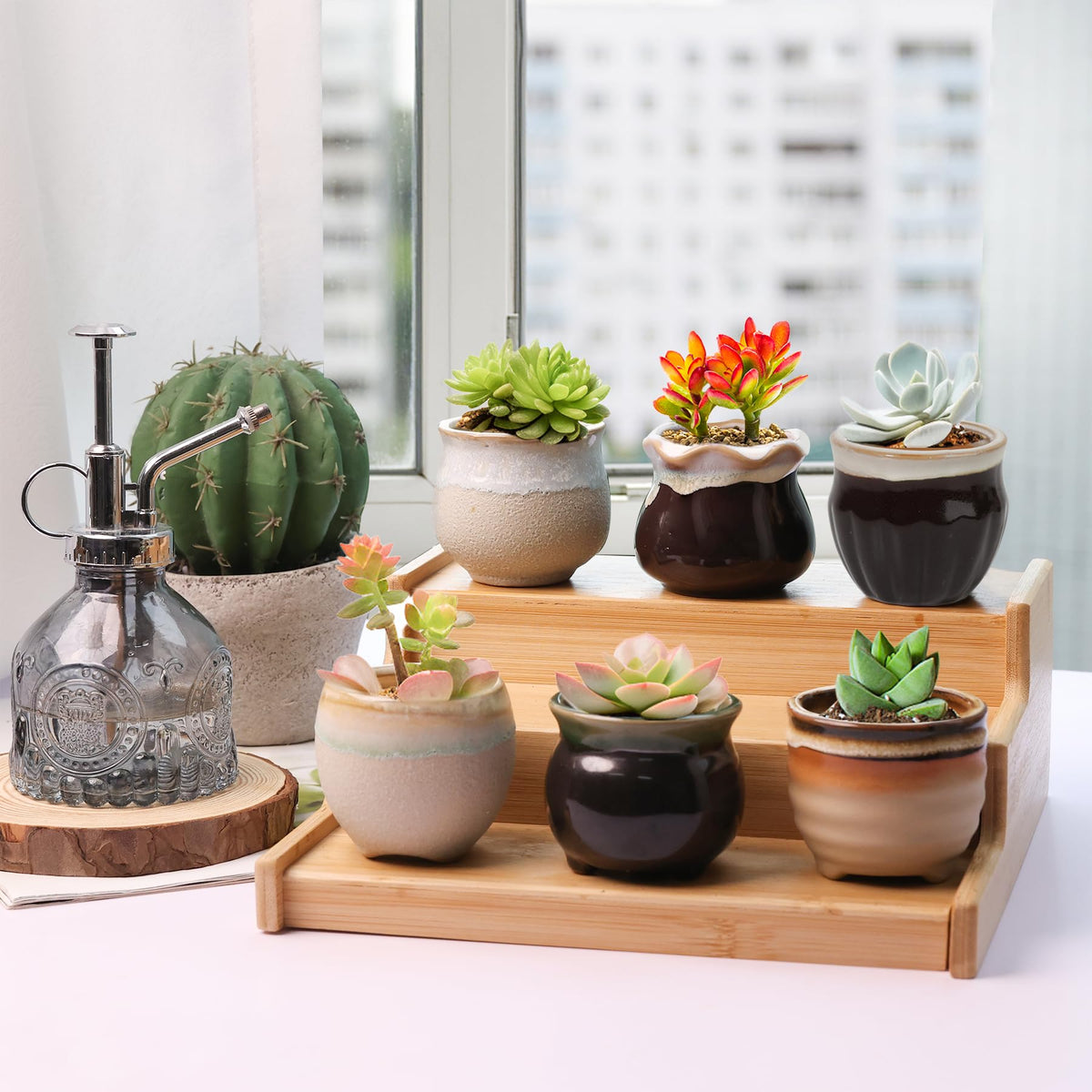 T4U tiny decor pots complement any interior style in homes.