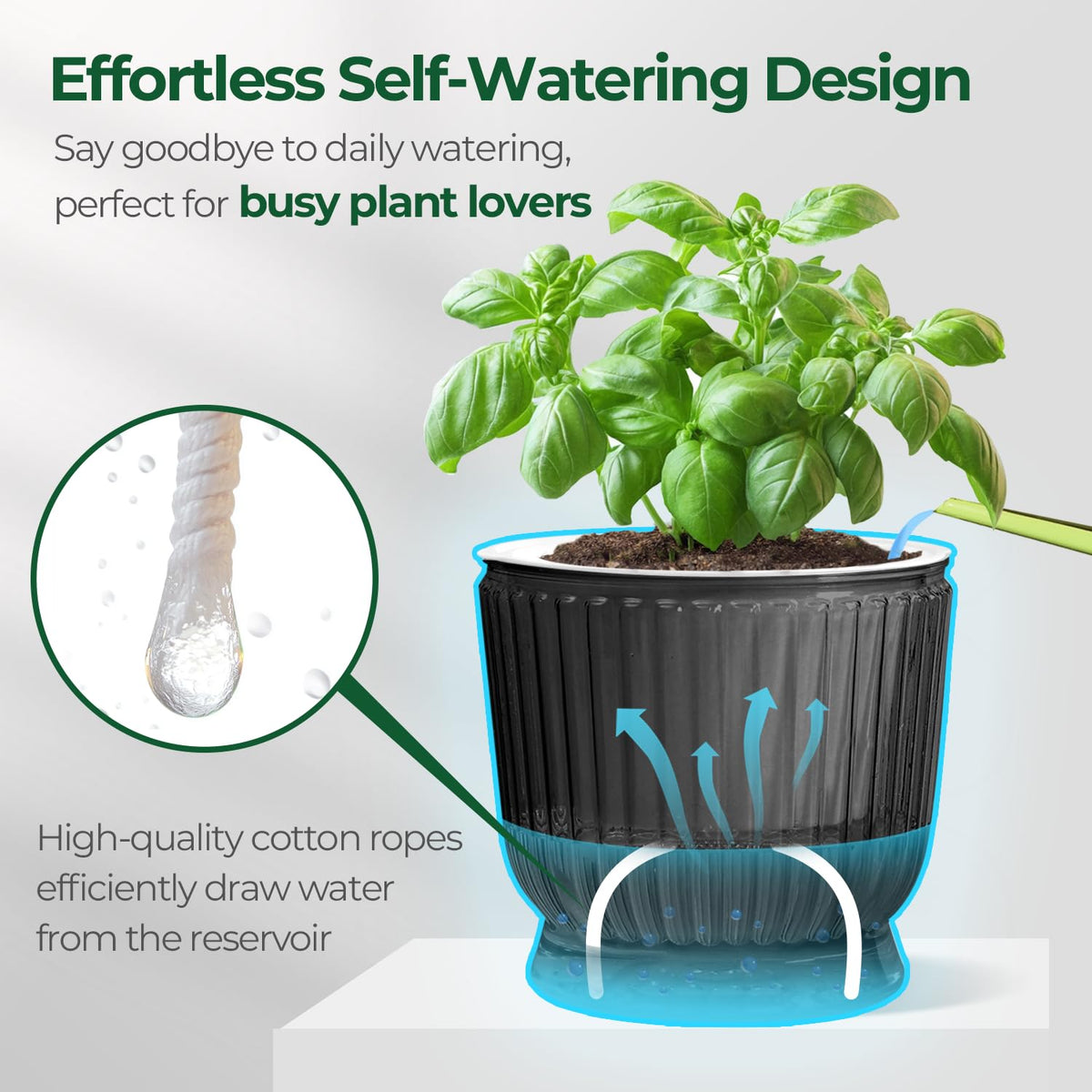 T4U translucent gray self-watering pot reveals water level at a glance.