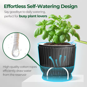 T4U translucent gray self-watering pot reveals water level at a glance.