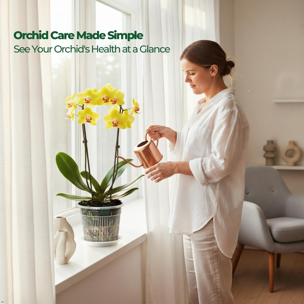 T4U transparent orchid pot to observe moisture and roots easily