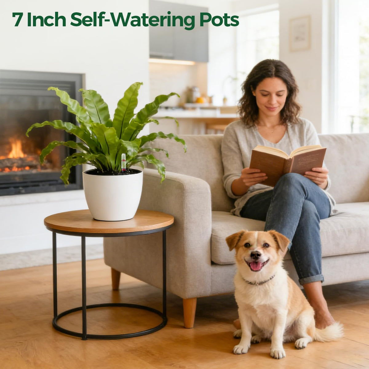 T4U two-pack white planters fit desks, shelves, and compact spaces.