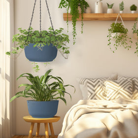 T4U versatile blue hanging planter set for spiders ivy and ferns.
