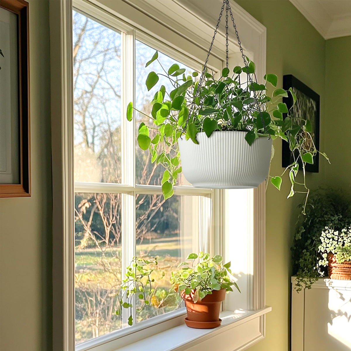 T4U planter paired with spider plant creates elegant balcony decor.