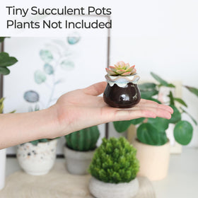 T4U window-sill friendly pots offer tidy drainage and easy display.