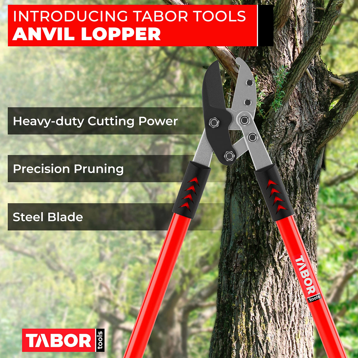 TABOR TOOLS GG12A compound-action lopper delivers powerful leverage
