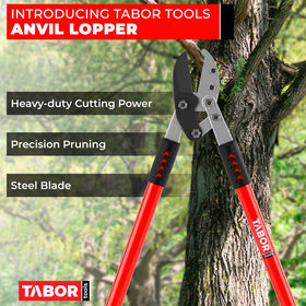 TABOR TOOLS GG12A compound-action lopper delivers powerful leverage