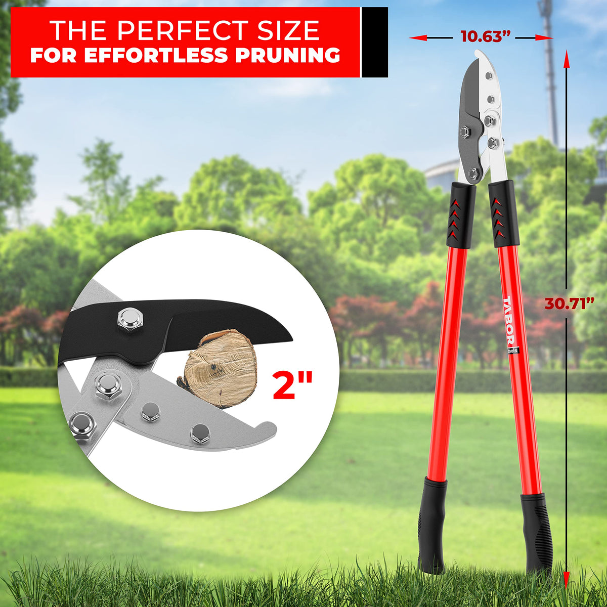 TABOR TOOLS GG12A cutting capacity of 2 inches for thick branches
