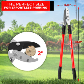TABOR TOOLS GG12A cutting capacity of 2 inches for thick branches