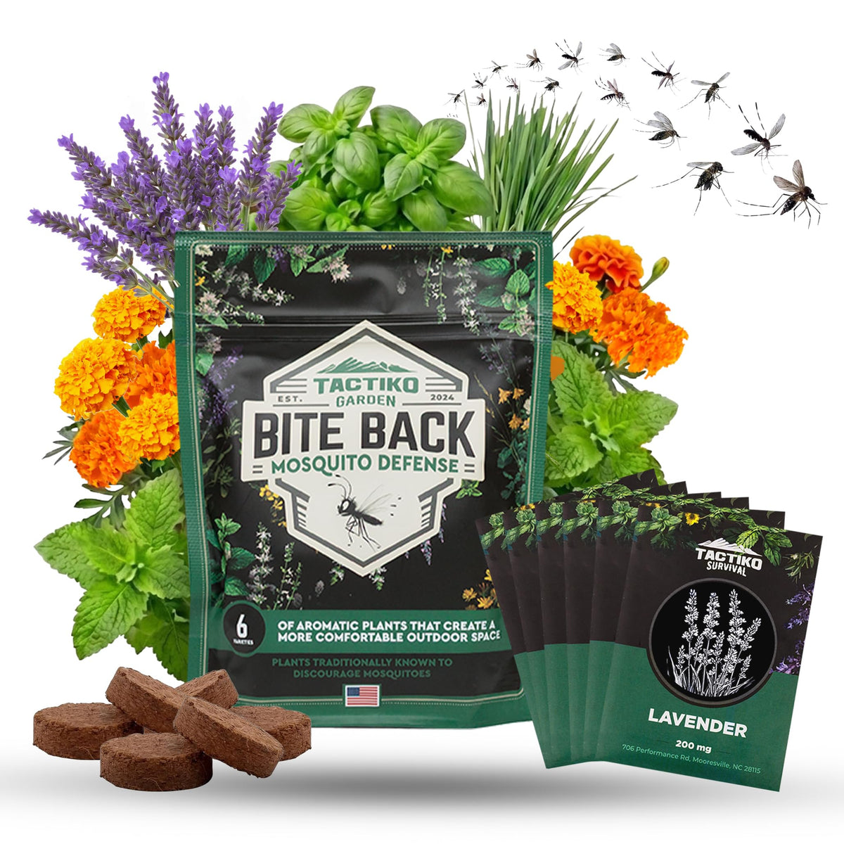 Tactiko Garden Lavender seed kit – fragrant blooms to refresh patios