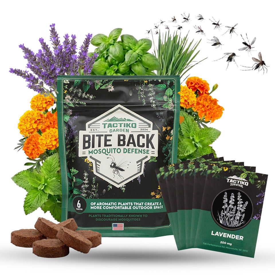 Tactiko Garden Lavender seed kit – fragrant blooms to refresh patios