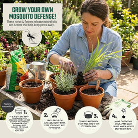 Tactiko Garden Lemon Balm seed kit – uplifting scent for decks and patios