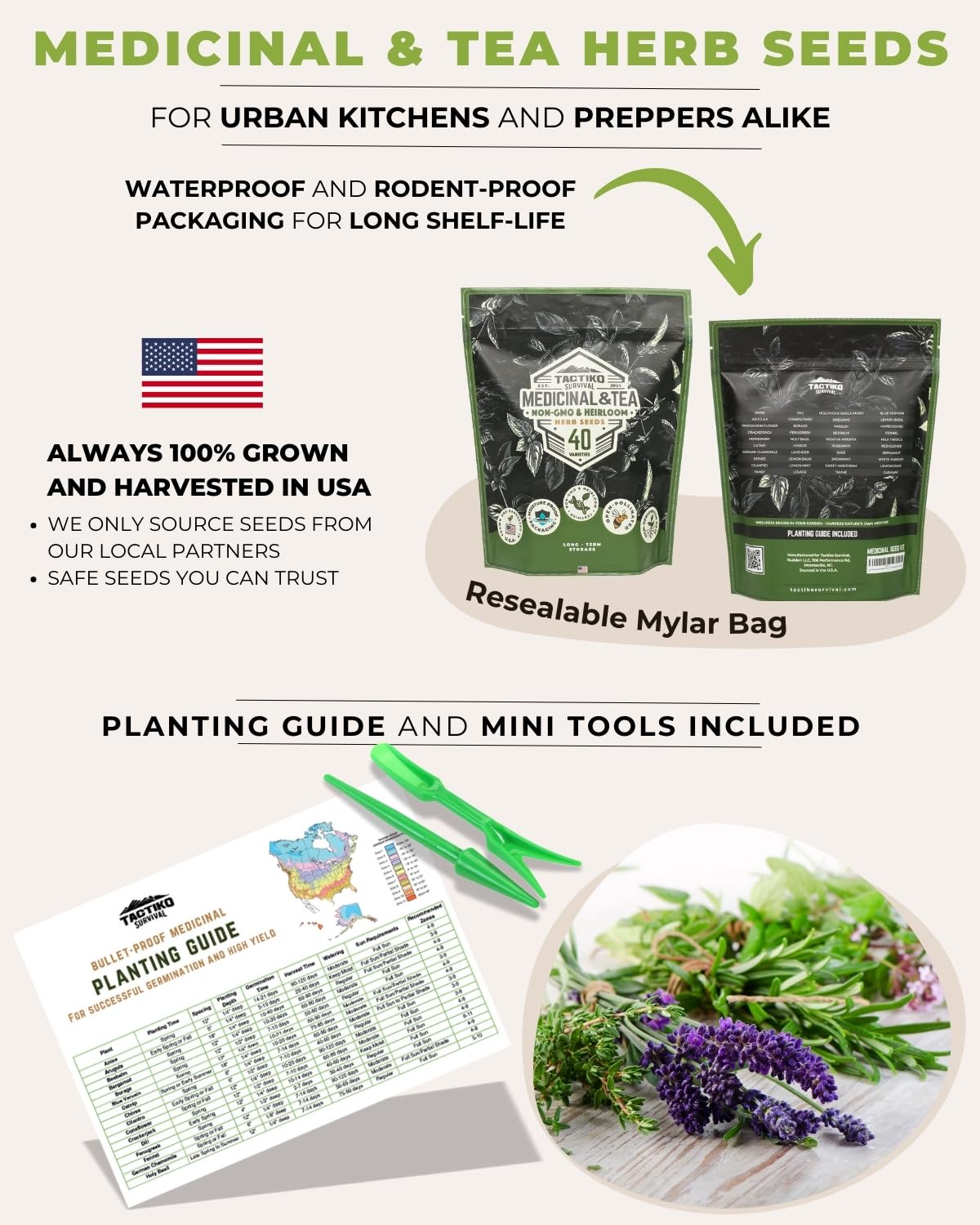 Tactiko Survival chamomile flowers ideal for soothing teas and relaxing rituals.