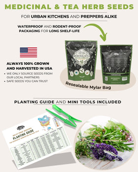 Tactiko Survival chamomile flowers ideal for soothing teas and relaxing rituals.