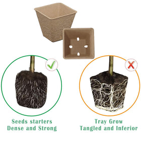 Taietc Seed Starter Kit adjustable dome showing humidity control for seedlings