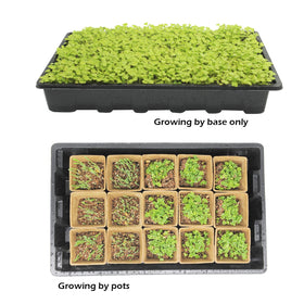Taietc Seed Starter Kit spray bottle aids even moisture for germination