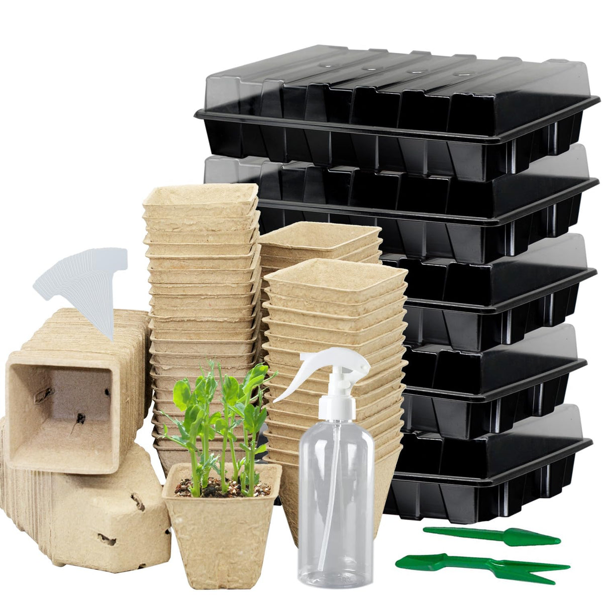 Taietc Seed Starter Kit top view for compact indoor seed starting