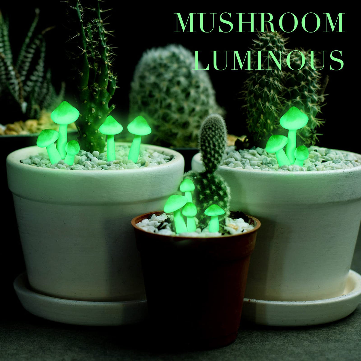 Taiyin mushroom lights add festive charm to trees and yards.