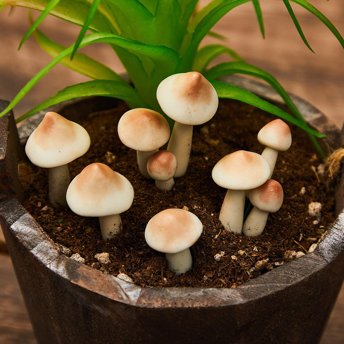 Taiyin whimsical mushrooms enhance micro-landscapes and fairy gardens.