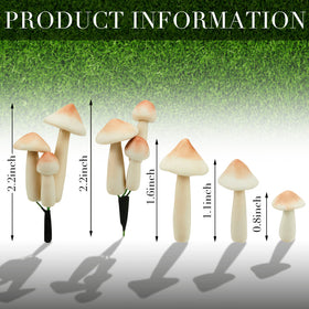 Taiyin glow-in-the-dark mushrooms brighten patios and walkways.