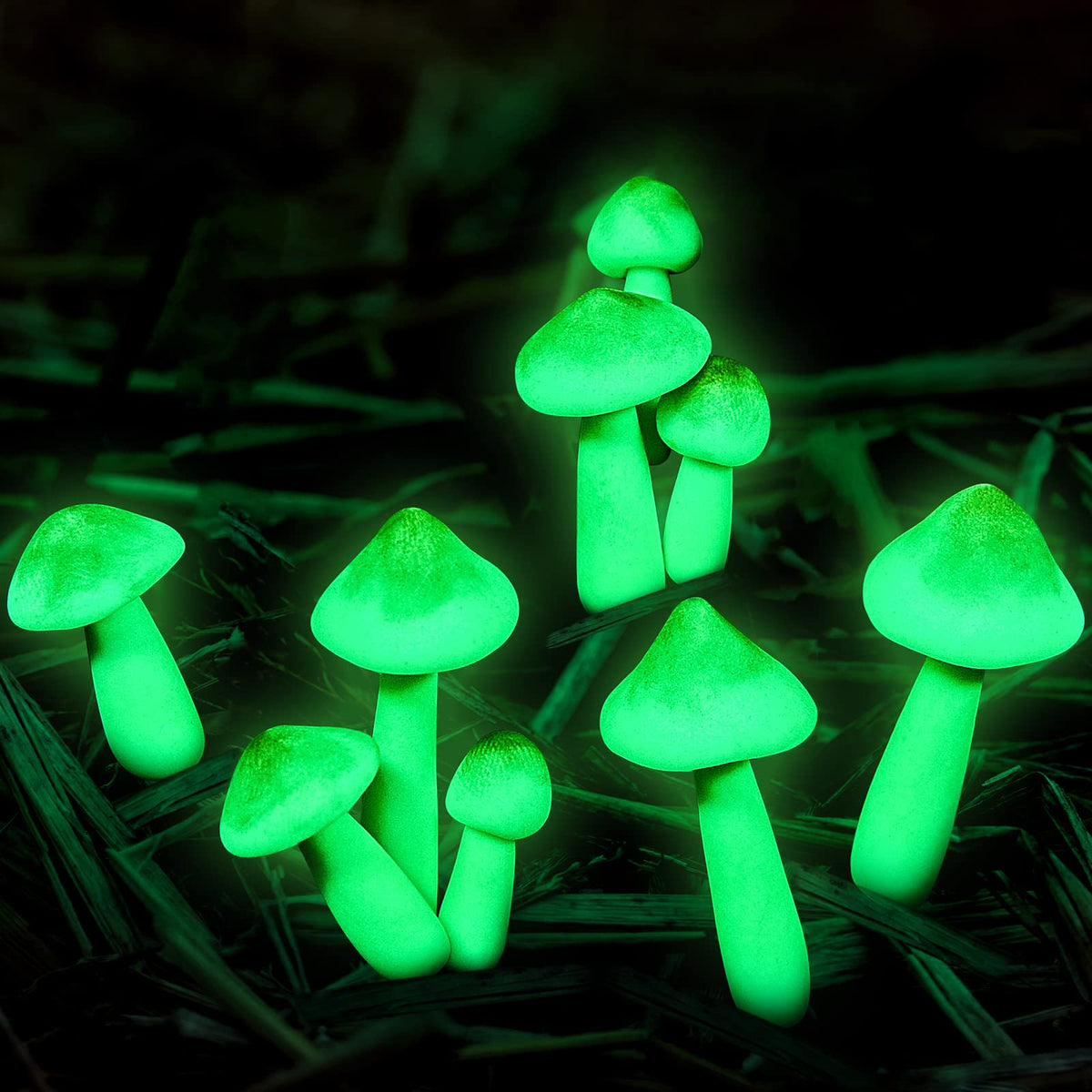 Taiyin 20-piece set brightens indoor terrariums and fairy gardens after dusk.