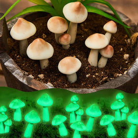 Taiyin five-piece luminous mushroom lights for outdoor garden display.