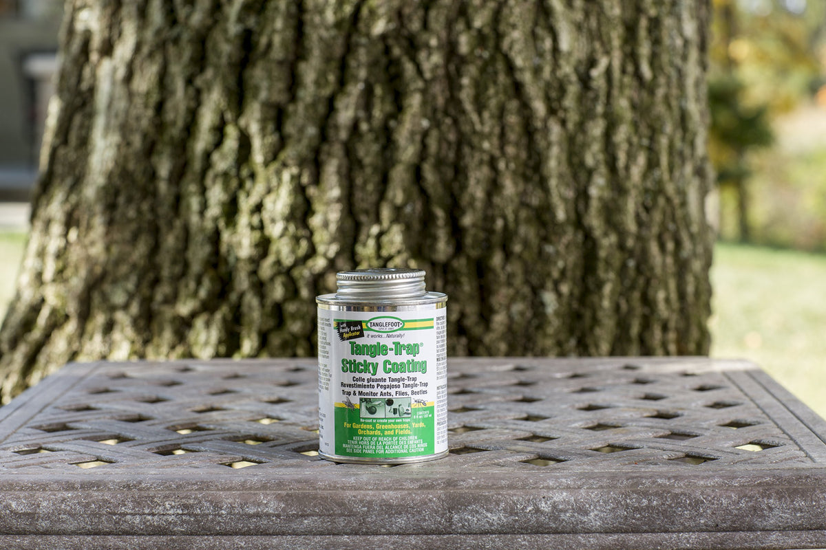 Tanglefoot Tangle-Trap sticky barrier for greenhouses helps monitor flies and beetles.