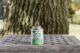 Tanglefoot Tangle-Trap sticky barrier for greenhouses helps monitor flies and beetles.