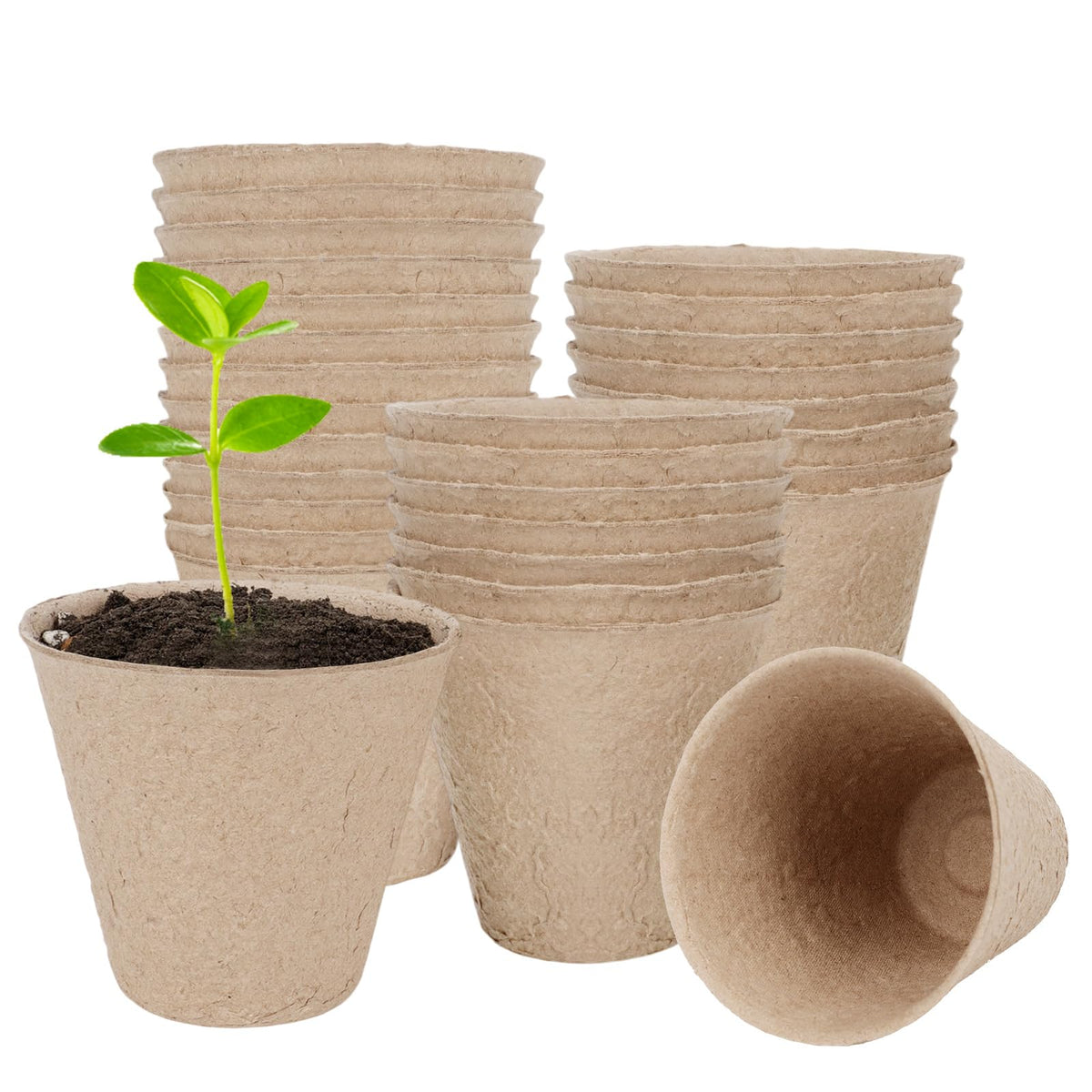 TAOLABV 30-pack peat pots viewed from above for easy seed starting and organization.