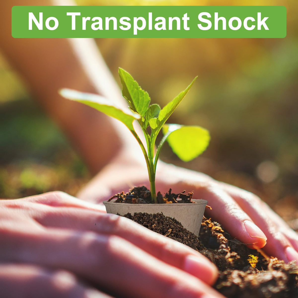 TAOLABV biodegradable seedling pots highlighting eco-friendly materials and easy disposal.