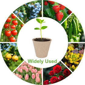 TAOLABV breathable seed pots show root-friendly walls promoting healthy seedlings.