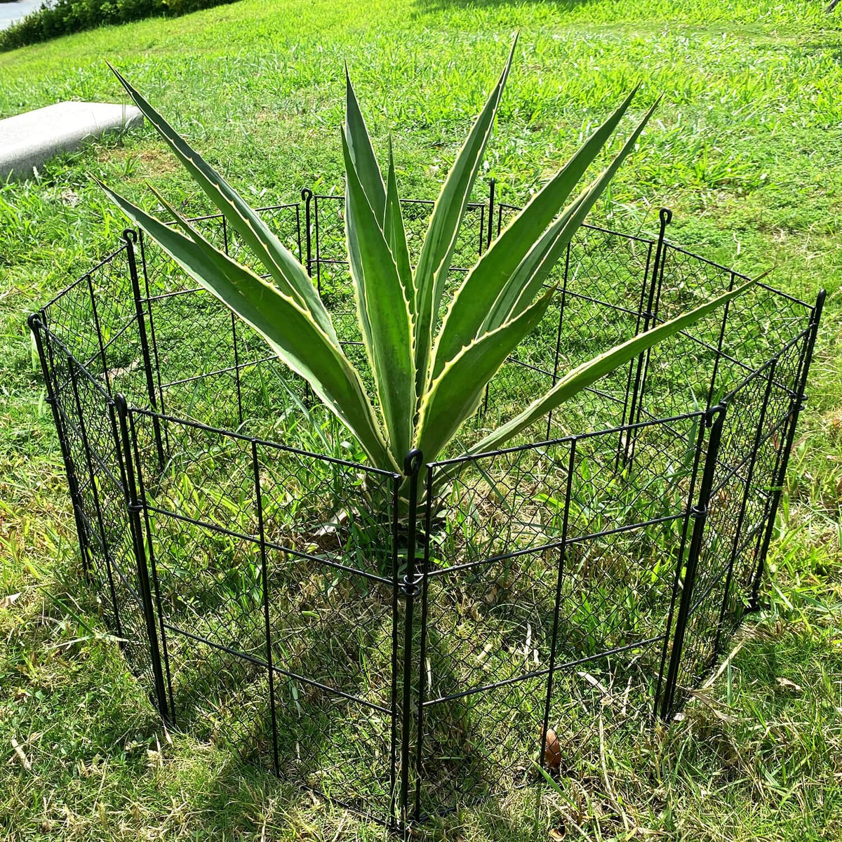 TAOMENNI cages deter chipmunks from garden plants