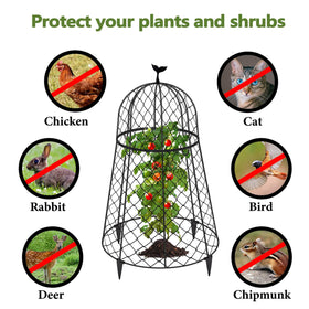 TAOMENNI sturdy cages guard plants from birds and rabbits