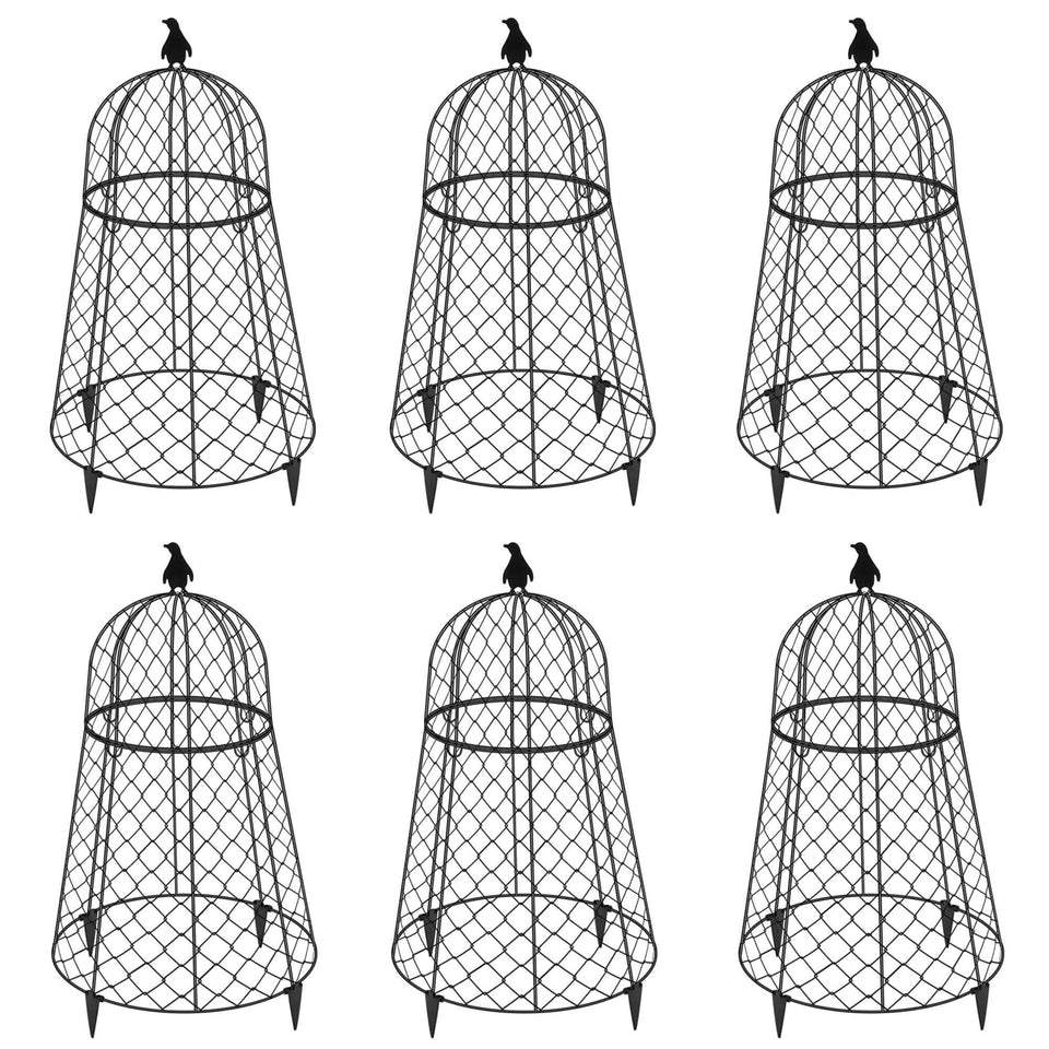 TAOMENNI garden cloches 13-inch covers protect seedlings in a six-pack set.
