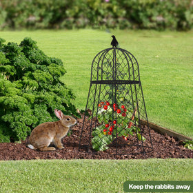 TAOMENNI sturdy cloches cover seedlings 13x20 inches for versatile use.