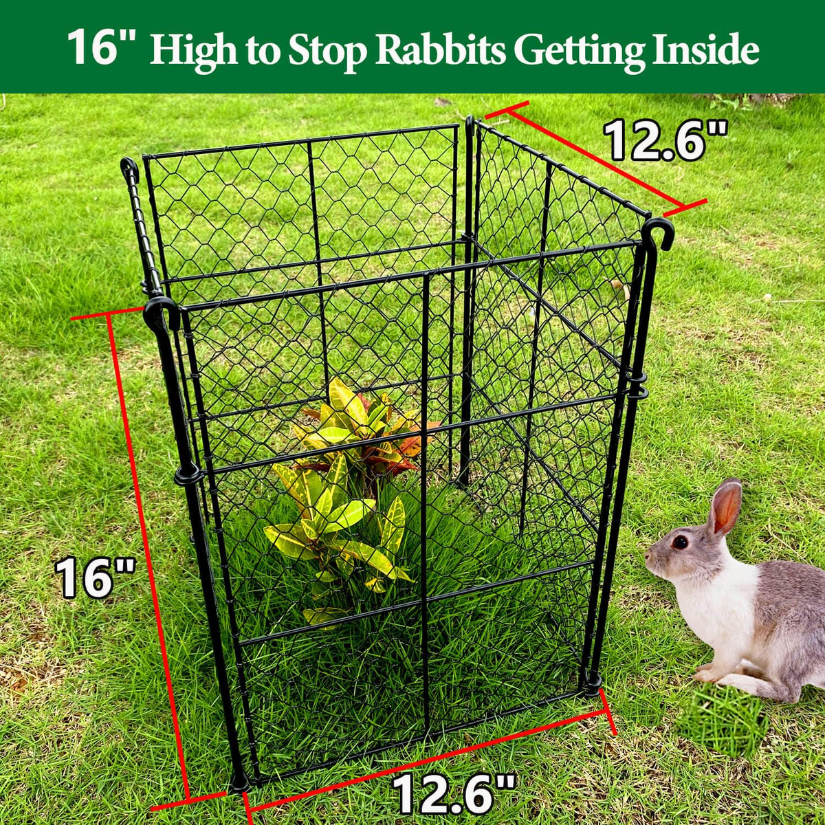 TAOMENNI rabbit-proof garden setup protects vegetables with durable metal cages
