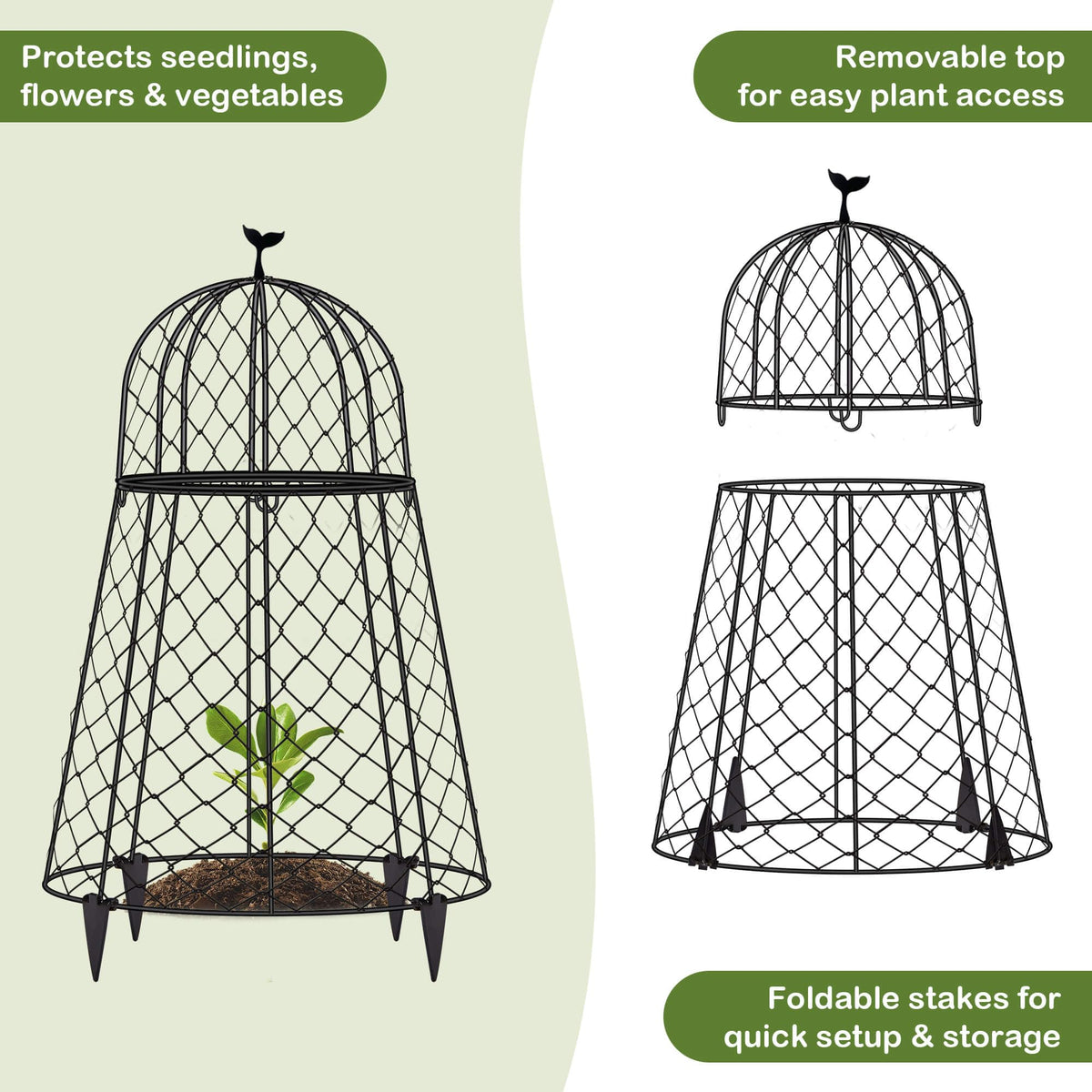 TAOMENNI cloches preserve sunlight and airflow for healthy growth