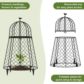 TAOMENNI cloches preserve sunlight and airflow for healthy growth