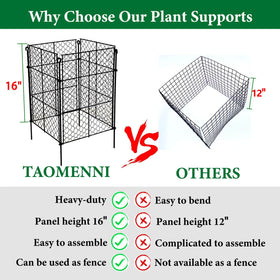 TAOMENNI vegetable beds protected by cages around young shrubs