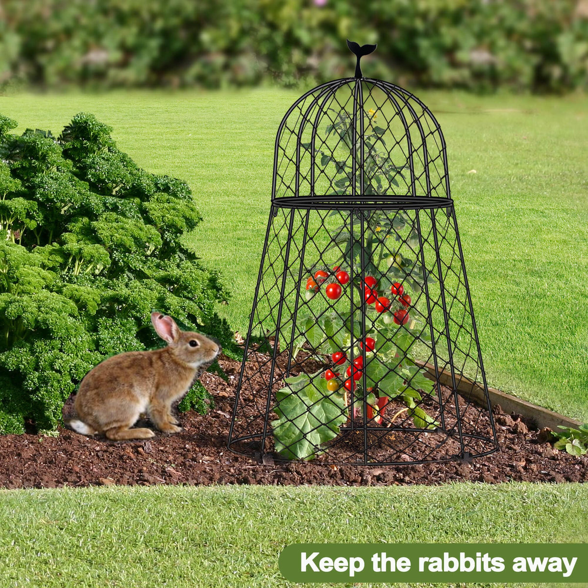TAOMENNI rustproof metal with PVC coating withstands all weather
