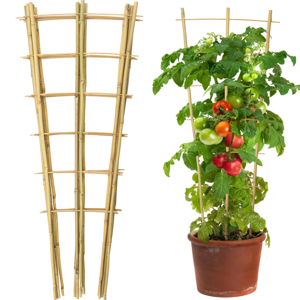 Taoskai 10-pack bamboo trellis ready for vertical growth of climbing plants