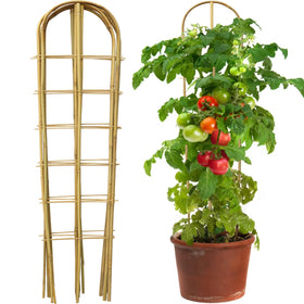 Taoskai 3-pack 4ft U-shape bamboo trellis supports climbing plants outdoors.