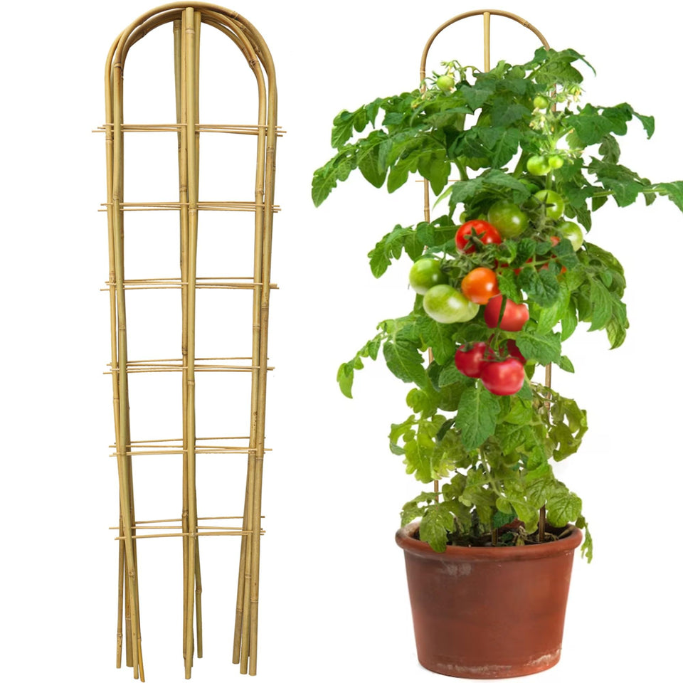 Taoskai 5-pack 4ft U-shape bamboo trellis provides sturdy support for climbing plants.