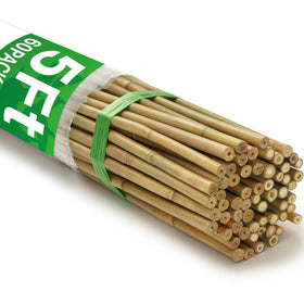 Taoskai bamboo stake 5ft pack provides sturdy garden plant support.