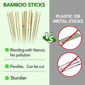 Taoskai bamboo stake close-up highlights natural durability and smooth finish.