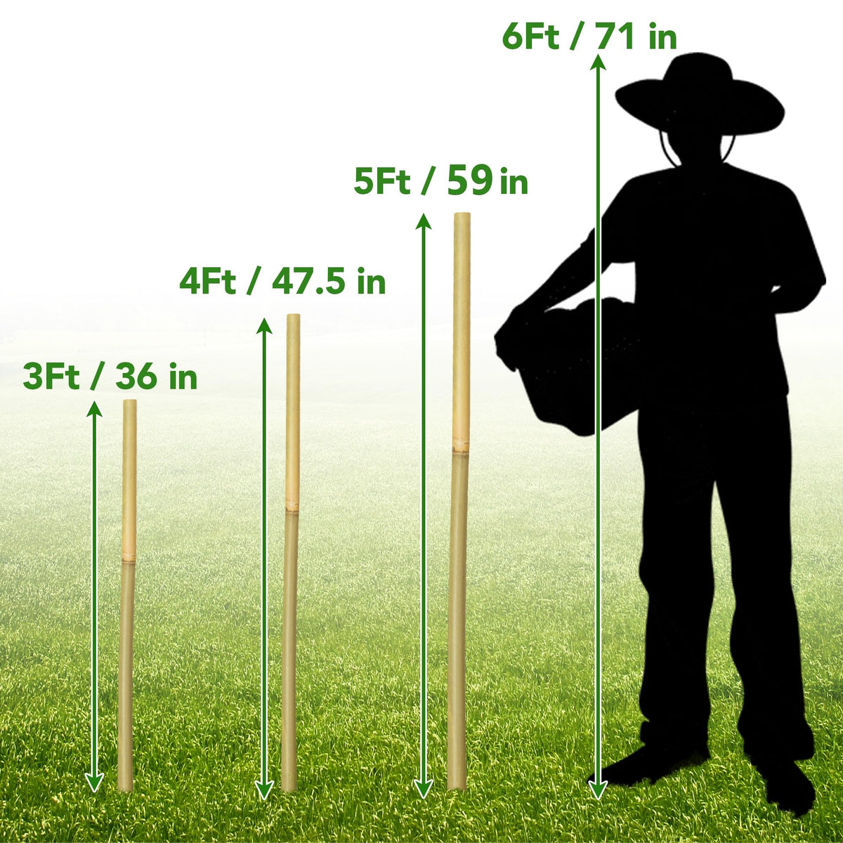 Taoskai bamboo stake packaging shows 60 pieces for easy gardening.