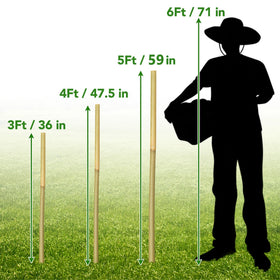 Taoskai bamboo stake packaging shows 60 pieces for easy gardening.