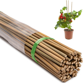 Taoskai bamboo stakes provide sturdy 4ft support for climbing plants.