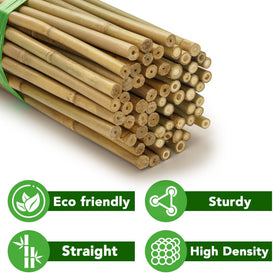 Taoskai bamboo stakes are sturdy yet flexible for outdoor use.