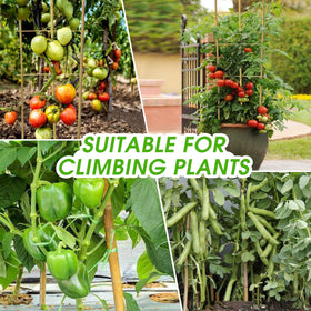 Taoskai 4ft U-shape bamboo trellis in pot use supports vertical growth.