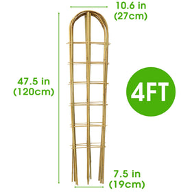 Taoskai bamboo trellis promotes strong growth for tomatoes and cucumbers indoors.